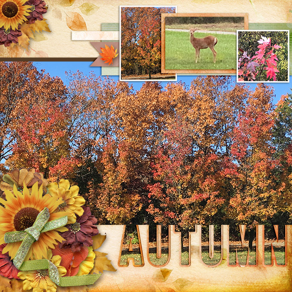 Autumn