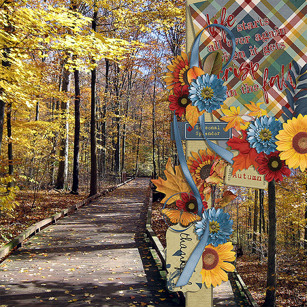 autumn