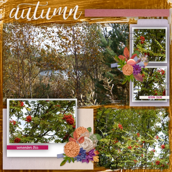 autumn