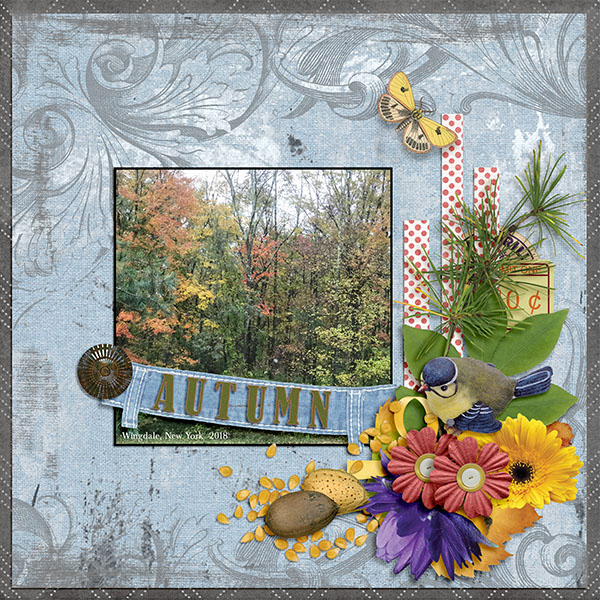 Autumn