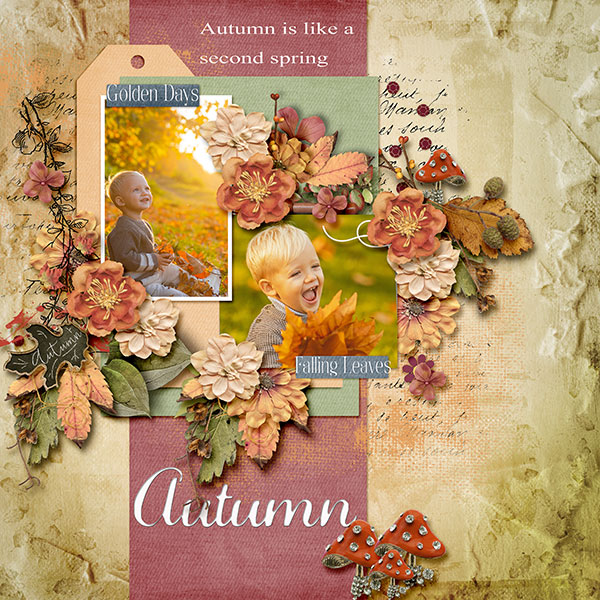 Autumn