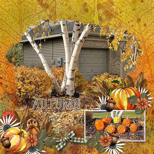 Autumn
