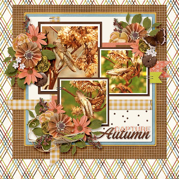 Autumn