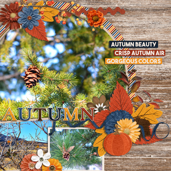 autumn