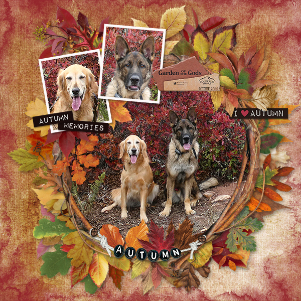 Autumn