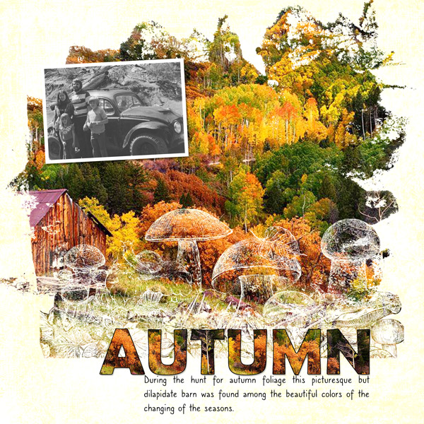 Autumn