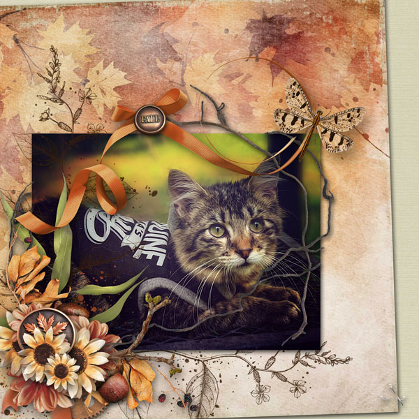 Autumn