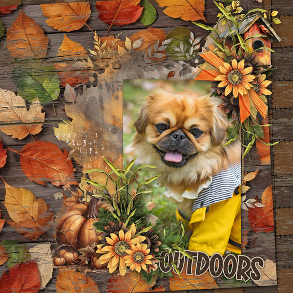 Autumn