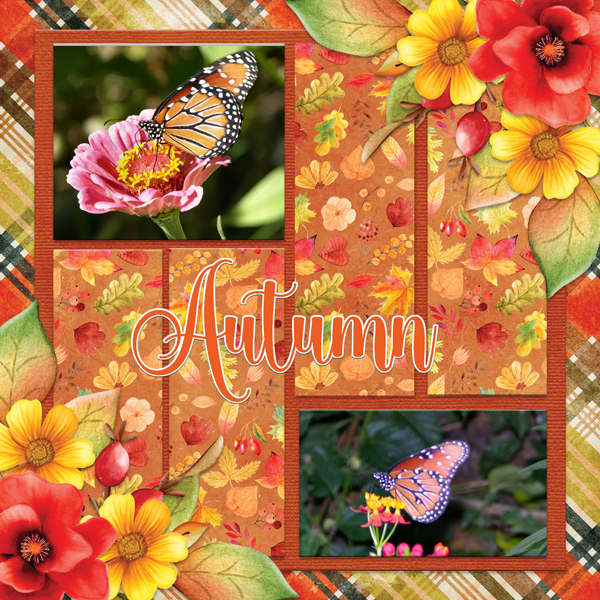 Autumn