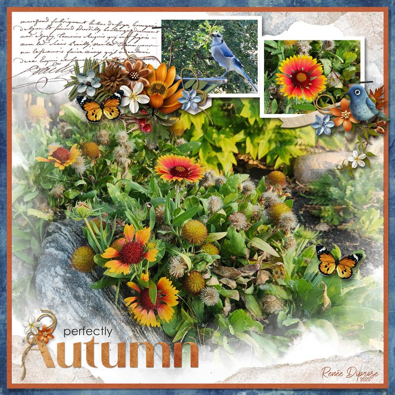 Autumn
