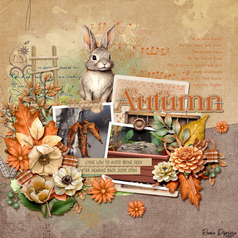 Autumn