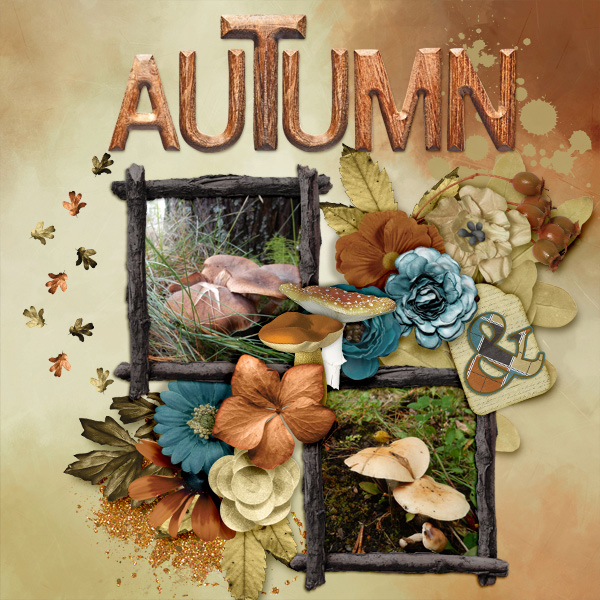 Autumn103