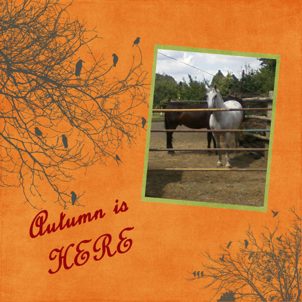AUTUMN30