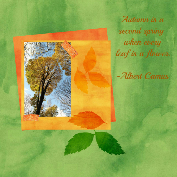 Autumn_20161