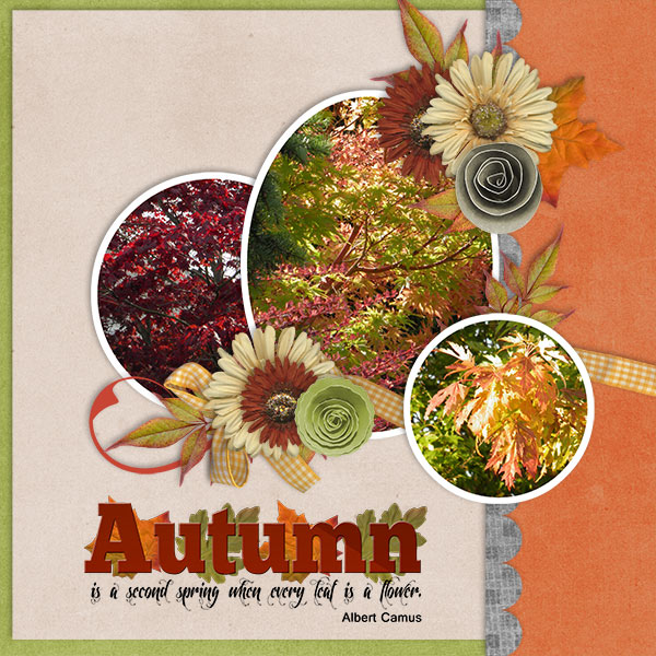 Autumn_colors
