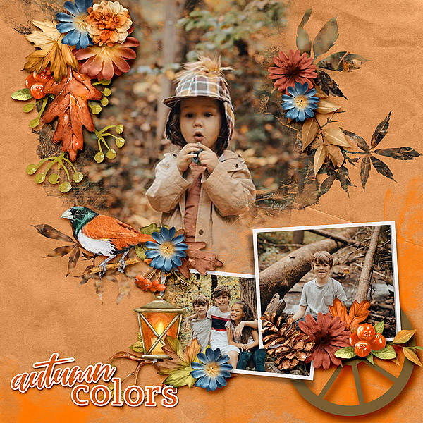Autumn_Colors_Gallery_Size