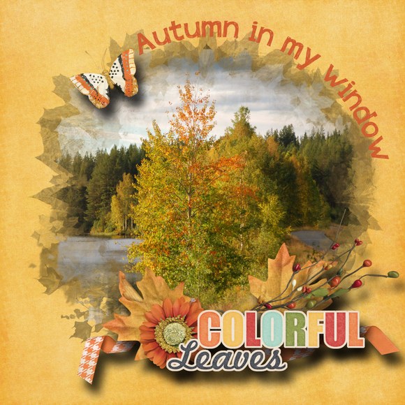 Autumn_in_my_window