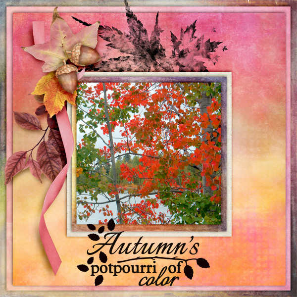 Autumn_s-potpourri