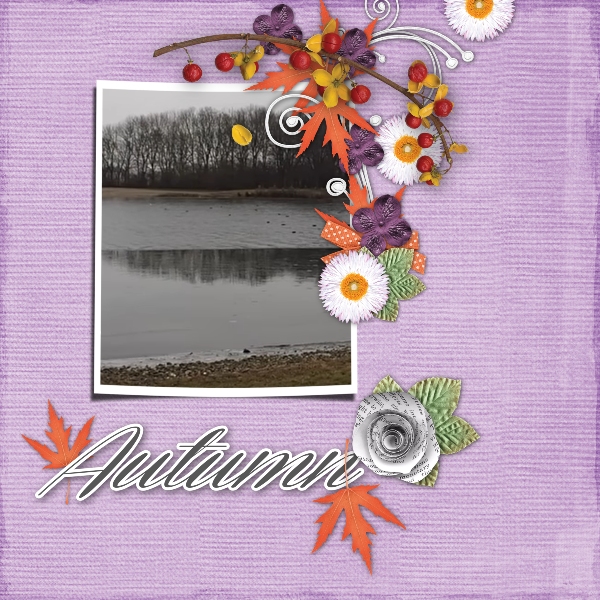 autumn_wonder