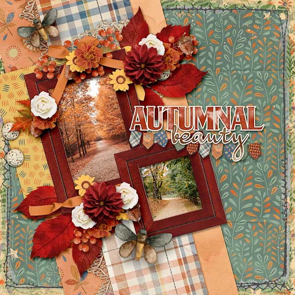 Autumnal Beauty