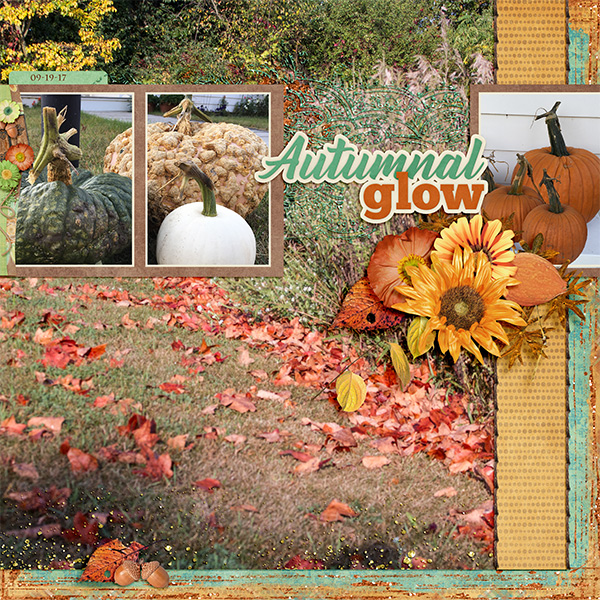 Autumnal Glow