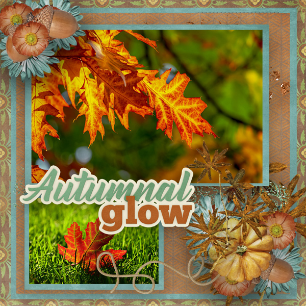 Autumnal Glow