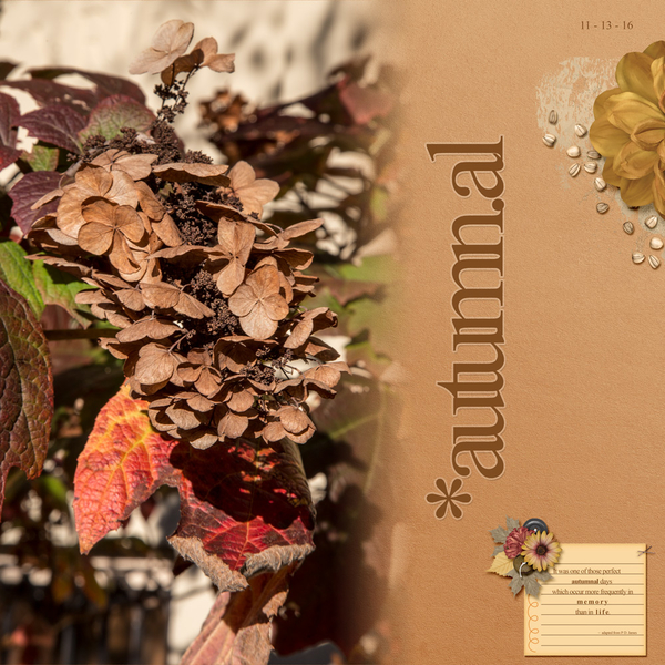 Autumnal
