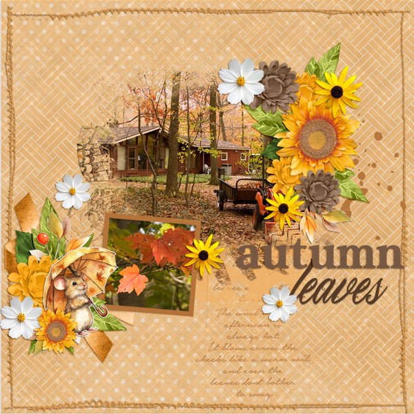 AutumnColors.jpg