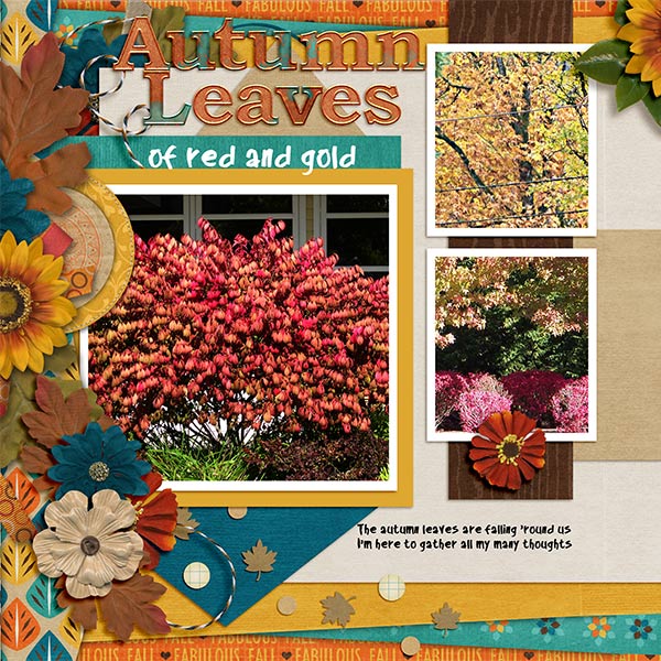 autumnLeaves_lt