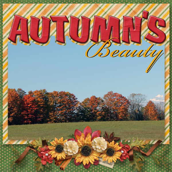 Autumn's Beauty