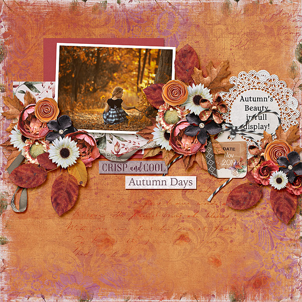 Autumns Beauty