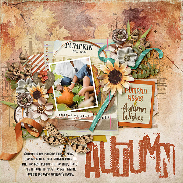 Autumns Embrace