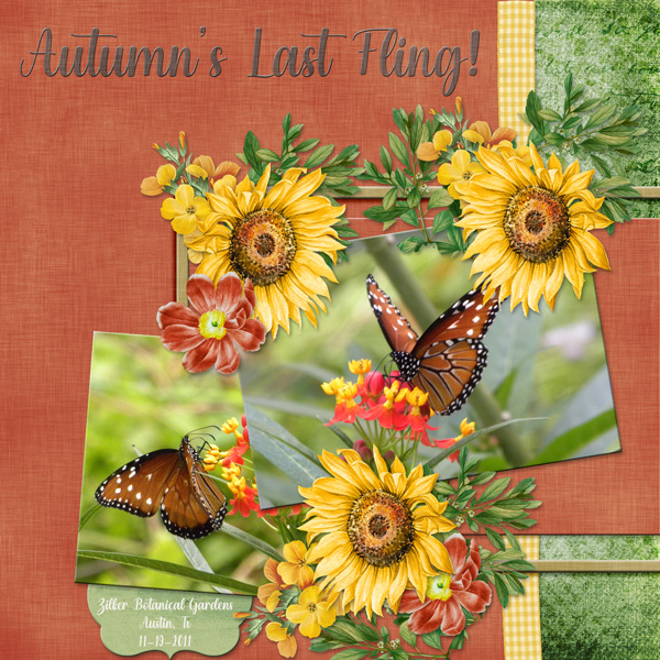 Autumn's Last Fling
