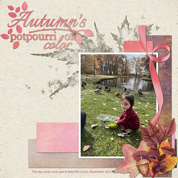 Autumn's Potpourri