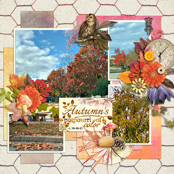 Autumn's Potpourrie of Color