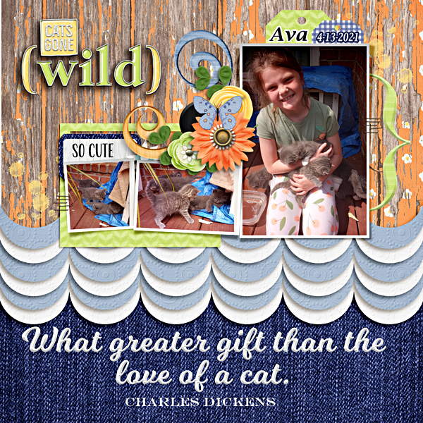 Ava and her kittens