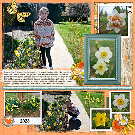Ava daffodils 2023