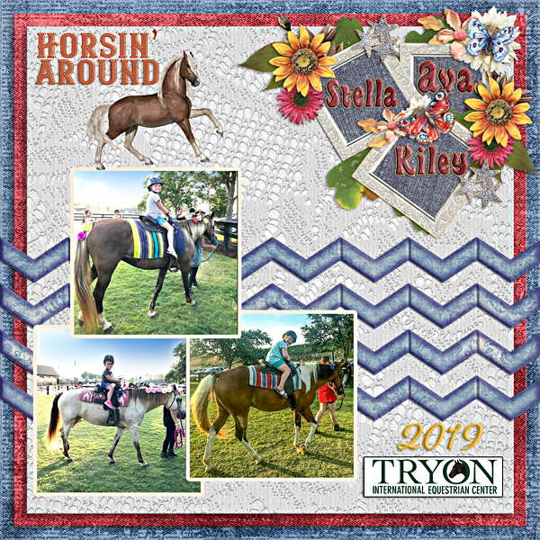 Ava Tryon equestrian Center