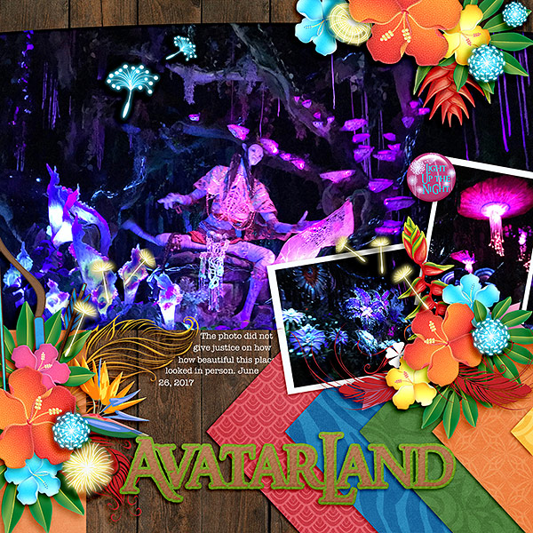 Avatar Land