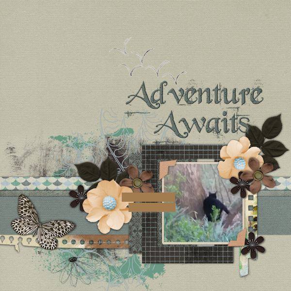 Aventure Awaits