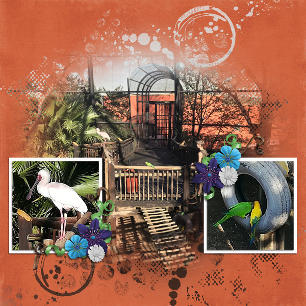 Aviary 2