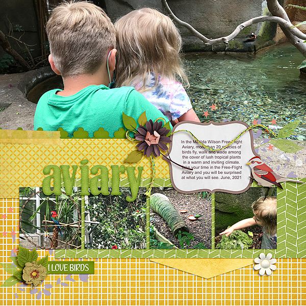 Aviary