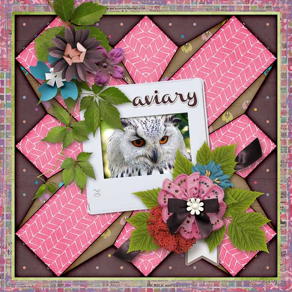 Aviary