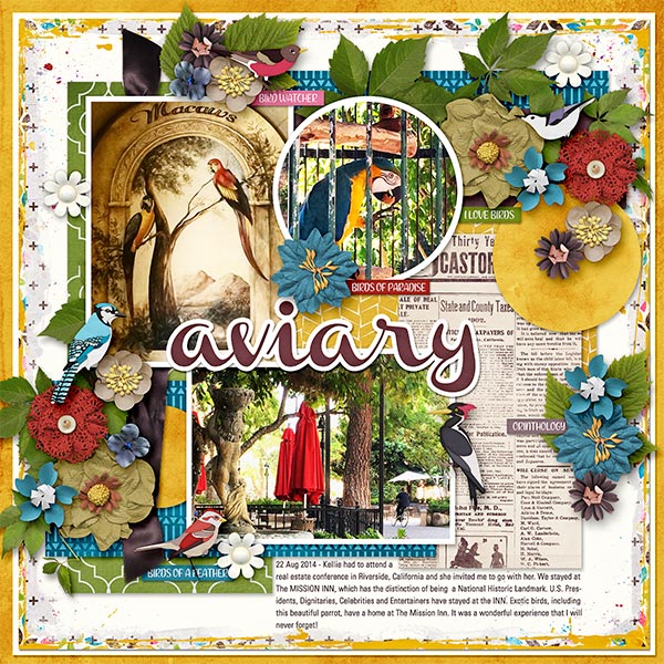 AVIARY