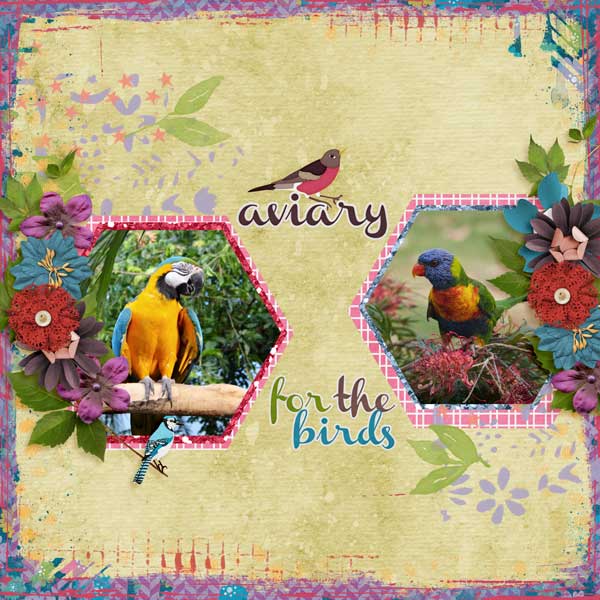 Aviary