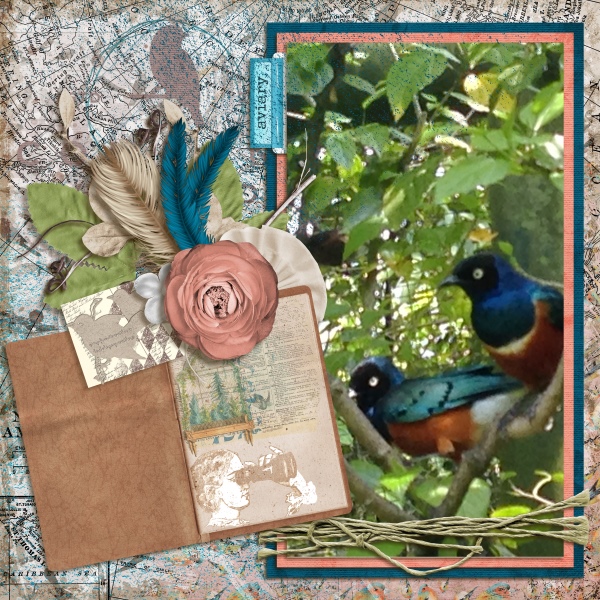 Aviary