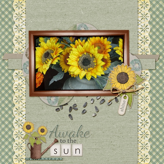 Awake to the Sun