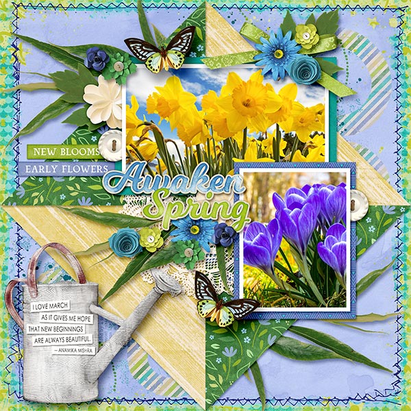 AWAKEN SPRING