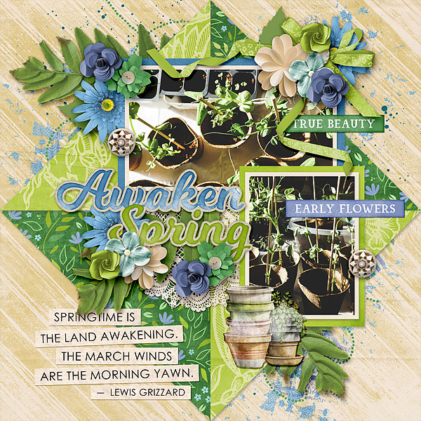 Awaken Spring