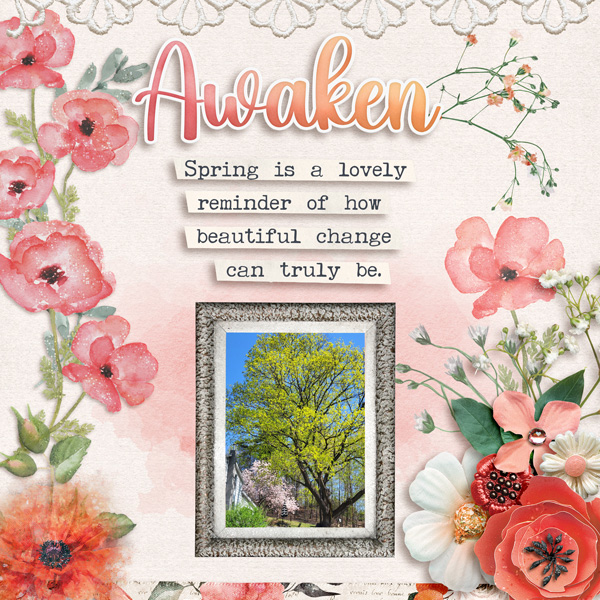 AWAKEN-WORDART-MAR24